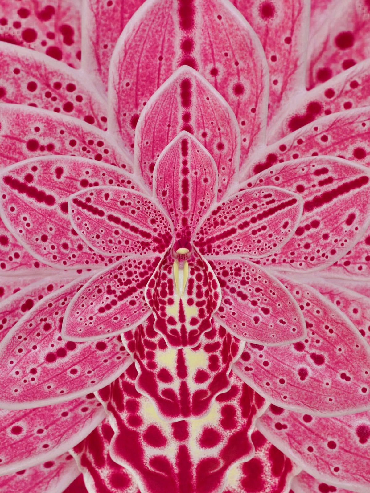 Orchid Bloom Sculpture